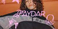 dj-paydar-copenhagen-ges